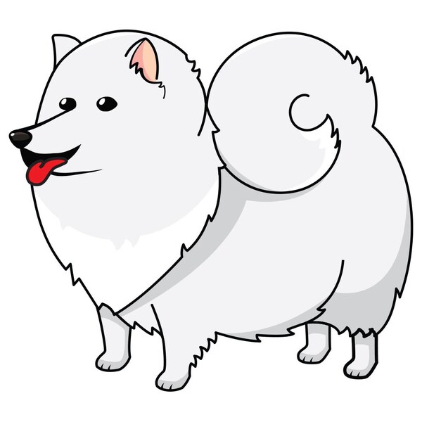 Signmission American Eskimo Dog Dog Decal, Dog Lover Decor Vinyl Sticker D-12-American Eskimo Dog - main